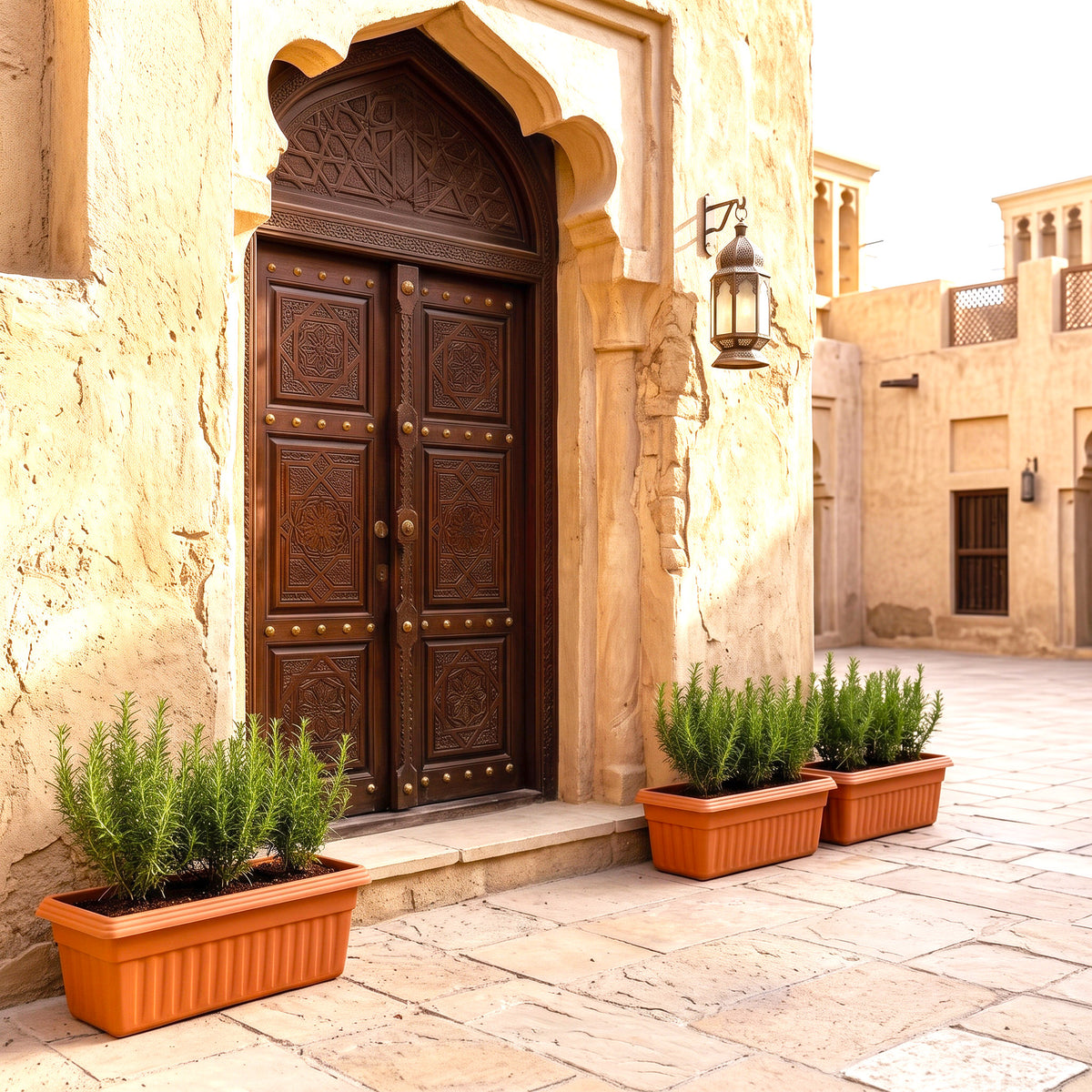 Fragrant Rosemary Herb Planter Box for Sunny Balconies & Kitchens – Ready-to-Grow Herb Garden (10L / 15L) | UAE