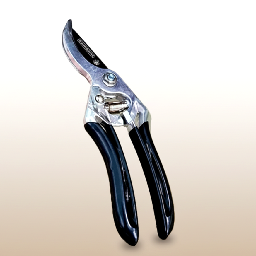 Pruning Shear