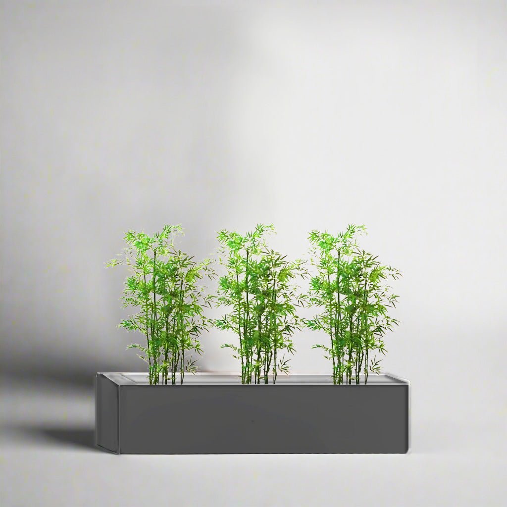 3x Bamboo Multiplex Trio in Rectangular Fiber Glass Planter (GRP) (90x30x30cm) - Greensouq -