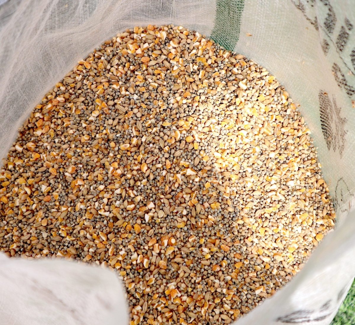 Wild Bird Feed "Feed Wild Bird in your Backyard" - Greensouq -