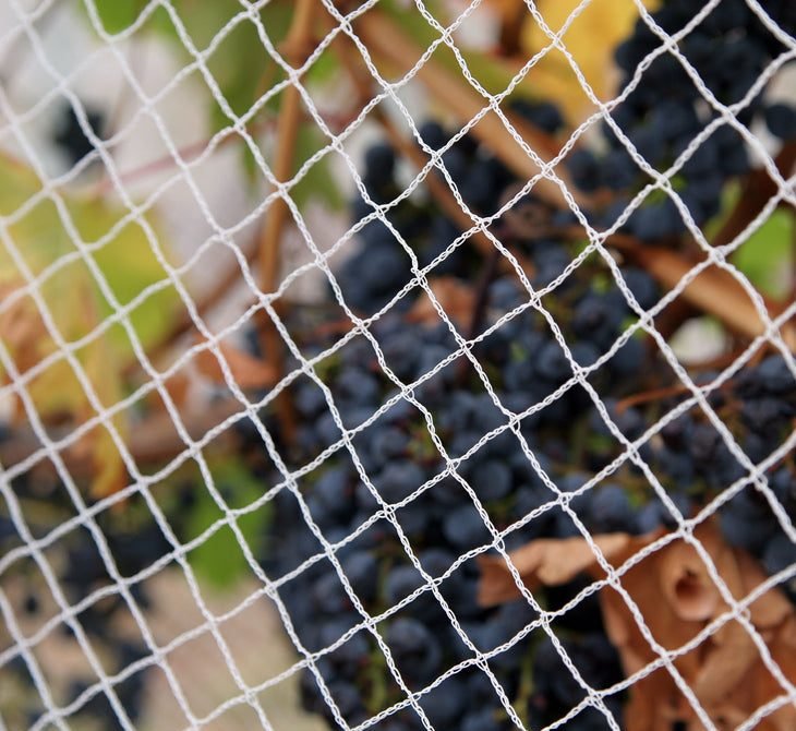 Bird Net "Heavy Duty Bird Netting White" 5.0x1.0m Ideal for Balcony, Pond Safety & Fruit Cage - Greensouq -