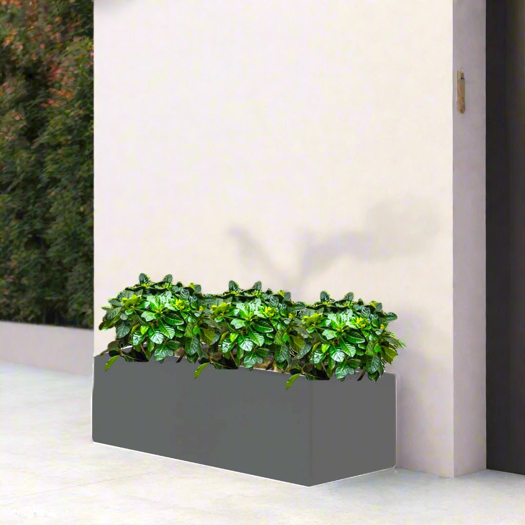 3x Gardenia Set in Rectangular Fiber Glass Planter (GRP) (90x30x30cm) - Greensouq -