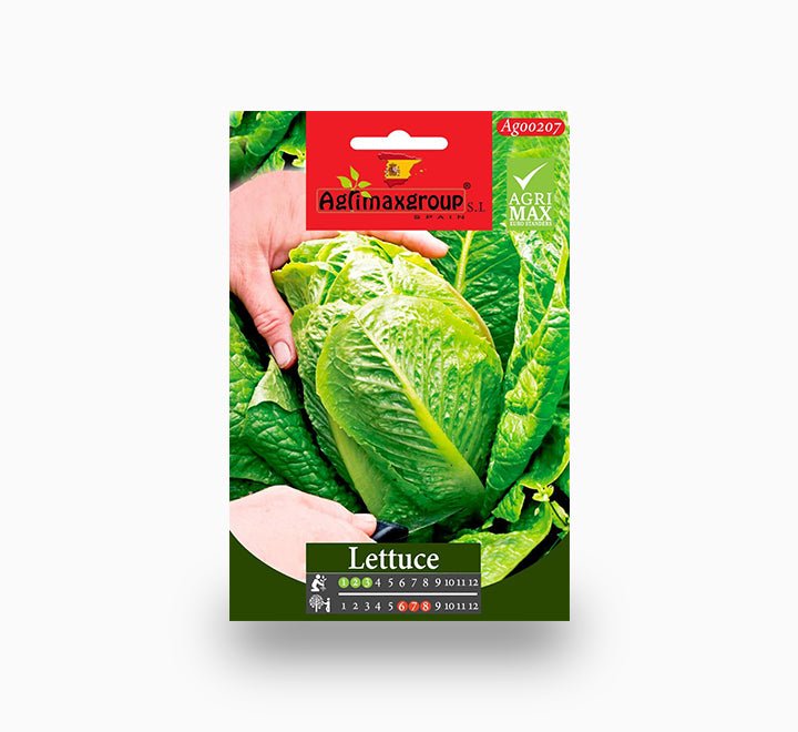 Agrimax Lettuce Seeds - Greensouq -