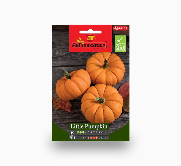 Pumpkin Seeds | Little Pumpkin Agrimax Seeds - Greensouq -