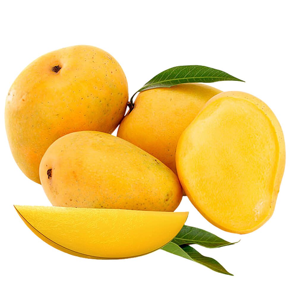 Mango Alphonso 2.0 - 2.5m - Greensouq -