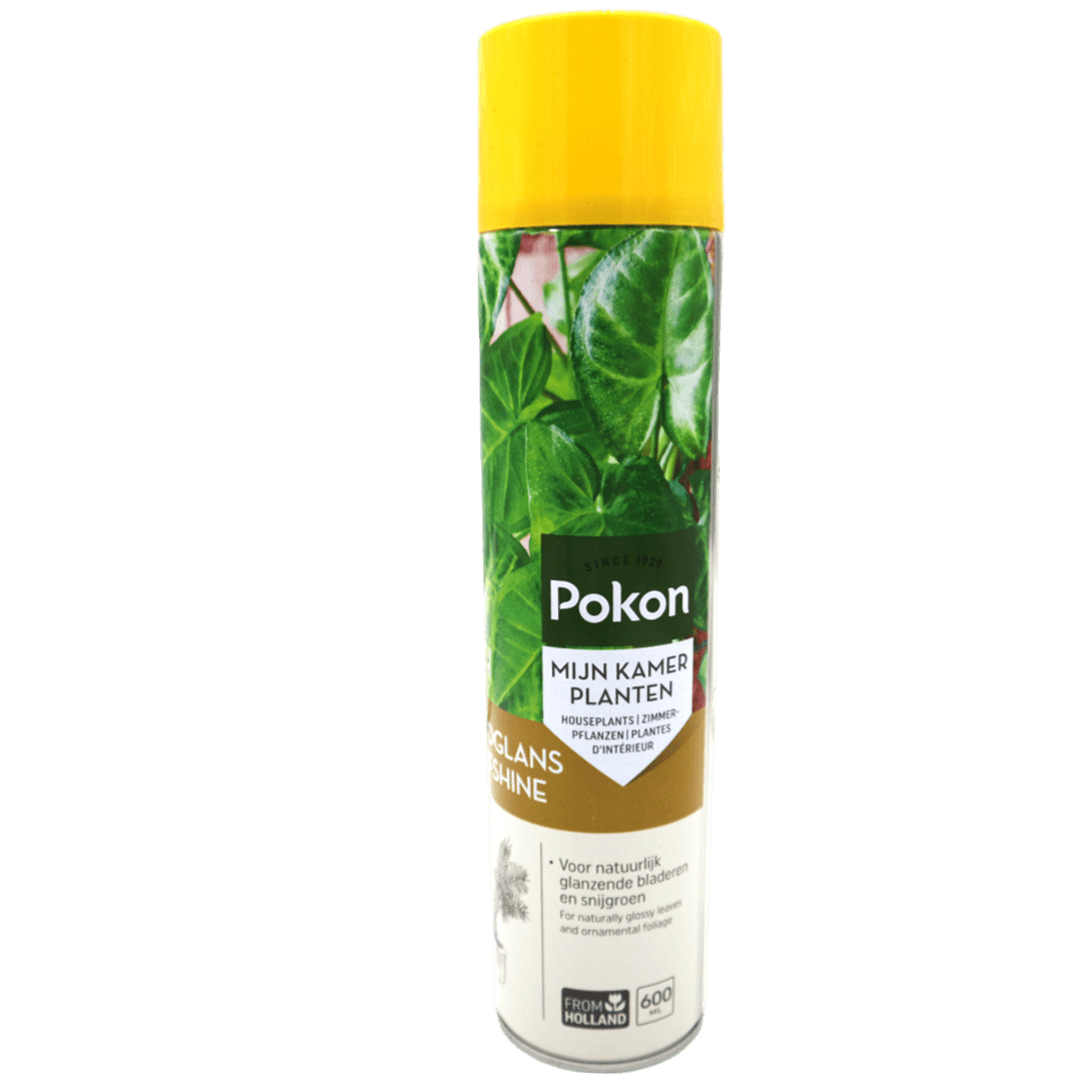 Pokon Leafshine Spray 600ml (Made in Holland) - Greensouq -