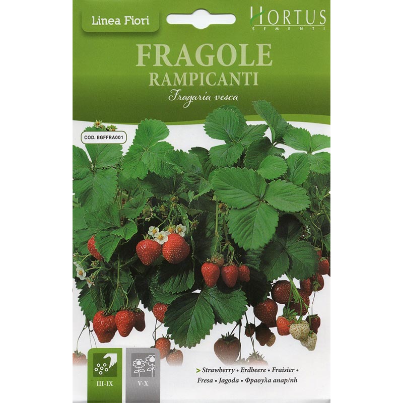 Strawberry Seeds "Fragole Rampicanti" Seeds by Hortus - Greensouq -