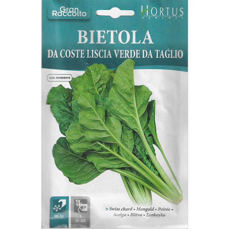 Swiss Chard Seeds "Bietola Da Coste Liscia Verde Da Taglio" Seeds by Hortus - Greensouq -