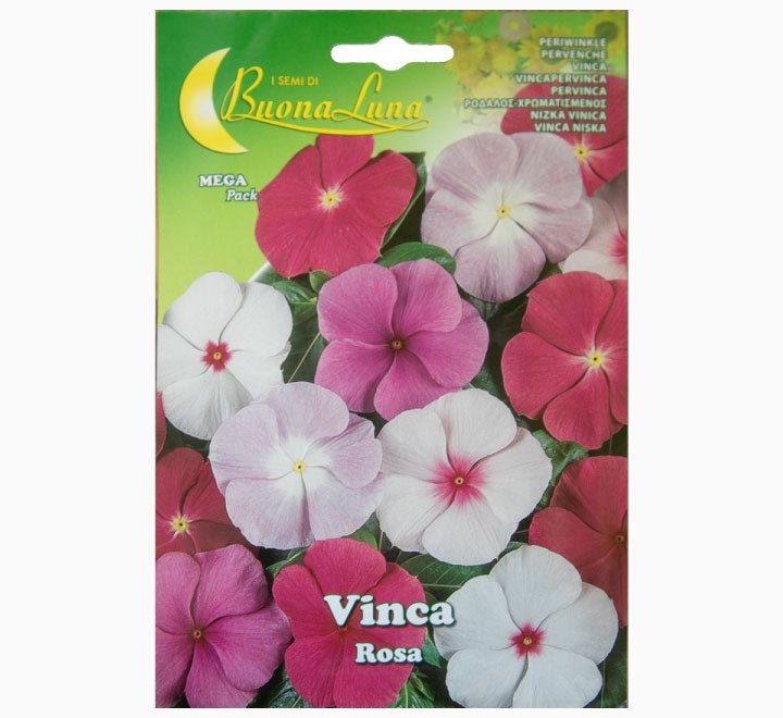 Vinca Rosa Flowers Seeds - Greensouq -