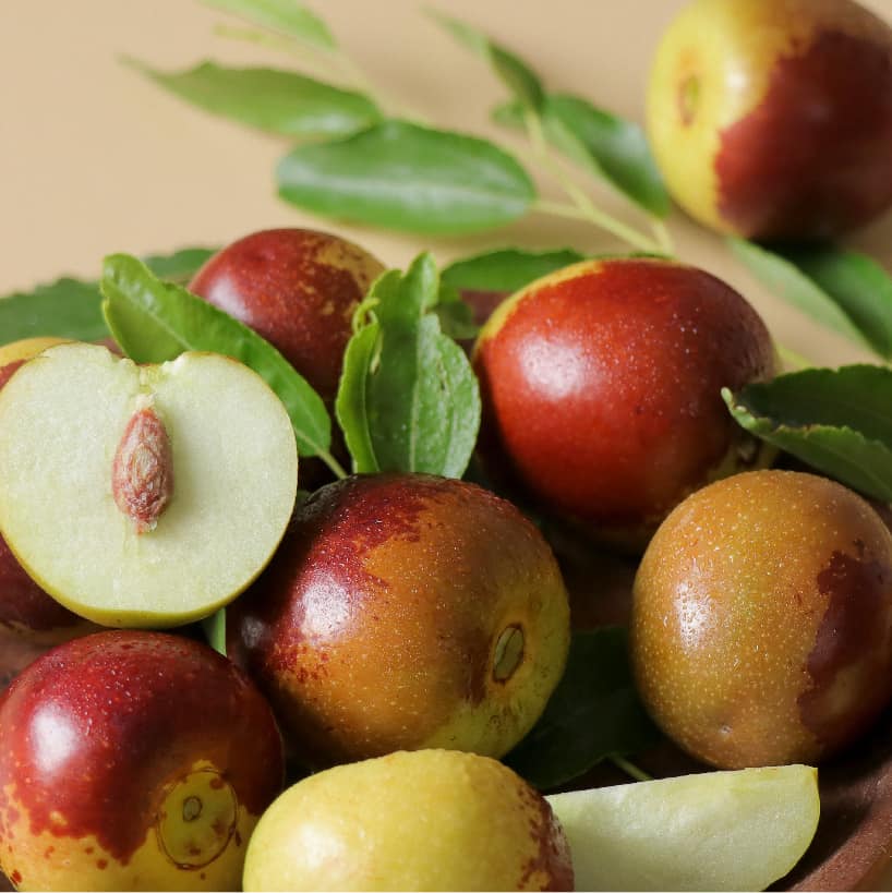 Ziziphus Jujuba Red Apple 1.5 - 2.0m - Greensouq -