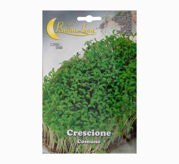 Fresh Microgreens Dubai