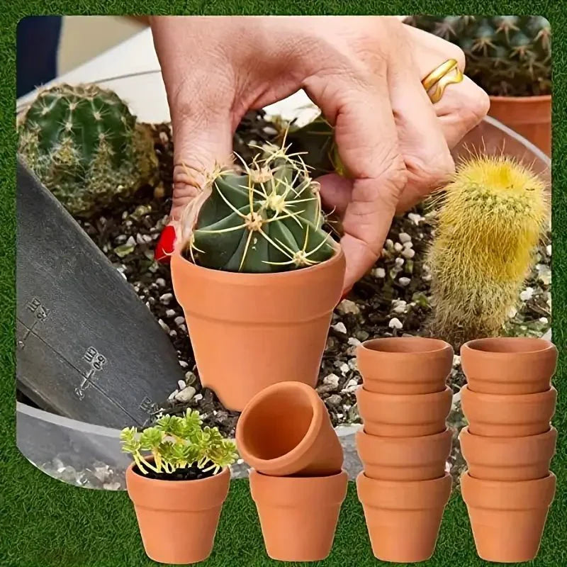 Clay Pots