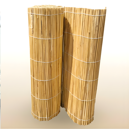 Bamboo Reed (Privacy Fence) - UAE Outdoor Boundry Barrier!