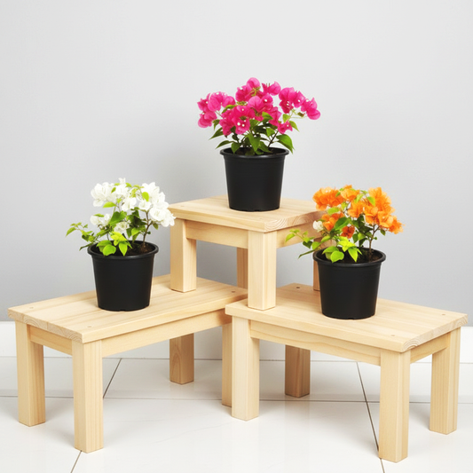 Bougainvillea Plants Bundle - White, Pink, Orange (30-40cm) in Pot