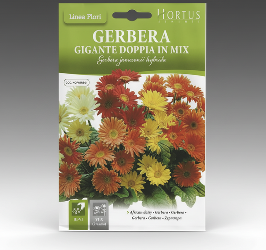 African Daisy Seeds "Gerbera Gigante Doppia In Mix" Premium Quality Seeds by Hortus Sementi - Greensouq -