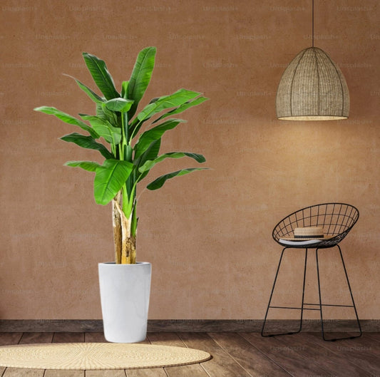 Artificial Banana Tree - Greensouq - 