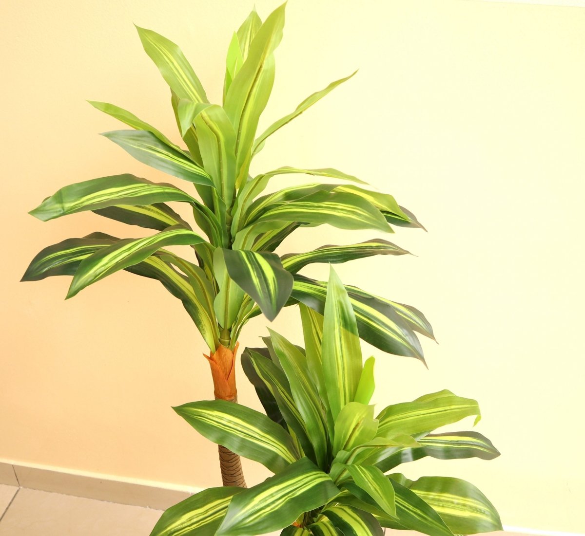 Artificial Massangeana Dracaena fragrans 120cm - Greensouq -