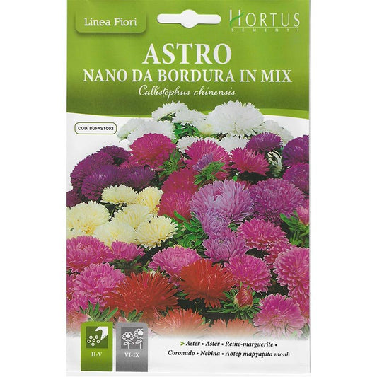 Aster Seeds "Astro Nano Da Bordura In Mix" Premium Quality Seeds by Hortus Sementi - Greensouq -