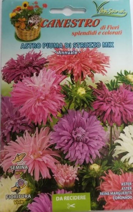 Puma Struzzo Seeds | Astro Puma Di Struzzo Mix Seeds by CANESTRO - Greensouq -