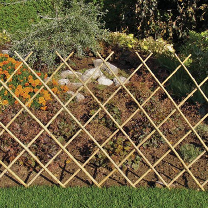 Bamboo trellis “Ideal For Climbing Plants” - Greensouq -