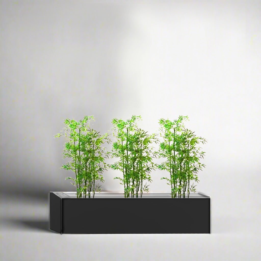 3x Bamboo Multiplex Trio in Rectangular Fiber Glass Planter (GRP) (90x30x30cm) - Greensouq -