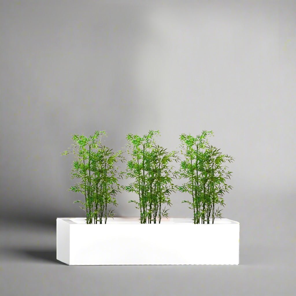 3x Bamboo Multiplex Trio in Rectangular Fiber Glass Planter (GRP) (90x30x30cm) - Greensouq -