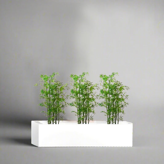 3x Bamboo Multiplex Trio in Rectangular Fiber Glass Planter (GRP) (90x30x30cm) - Greensouq -