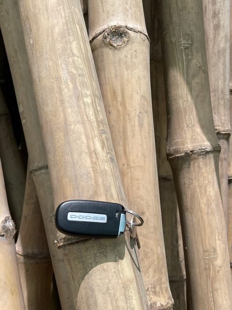 Bamboo pole 3m Length Strong Natural Bamboo, Bamboo Structure Pole - Greensouq - 