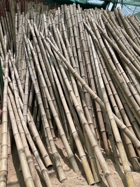 Bamboo pole 3m Length Strong Natural Bamboo, Bamboo Structure Pole - Greensouq - 