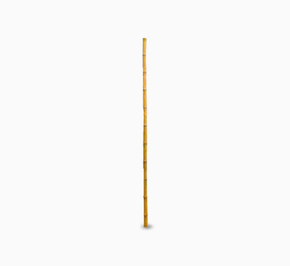 Bamboo pole 3m Length Strong Natural Bamboo, Bamboo Structure Pole - Greensouq - 