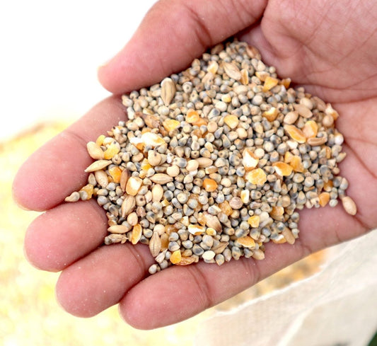 Wild Bird Feed "Feed Wild Bird in your Backyard" - Greensouq -