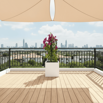 Bougainvillea 1.4 - 1.6m in Grp Square White Pot 40 x 40 - Greensouq - 