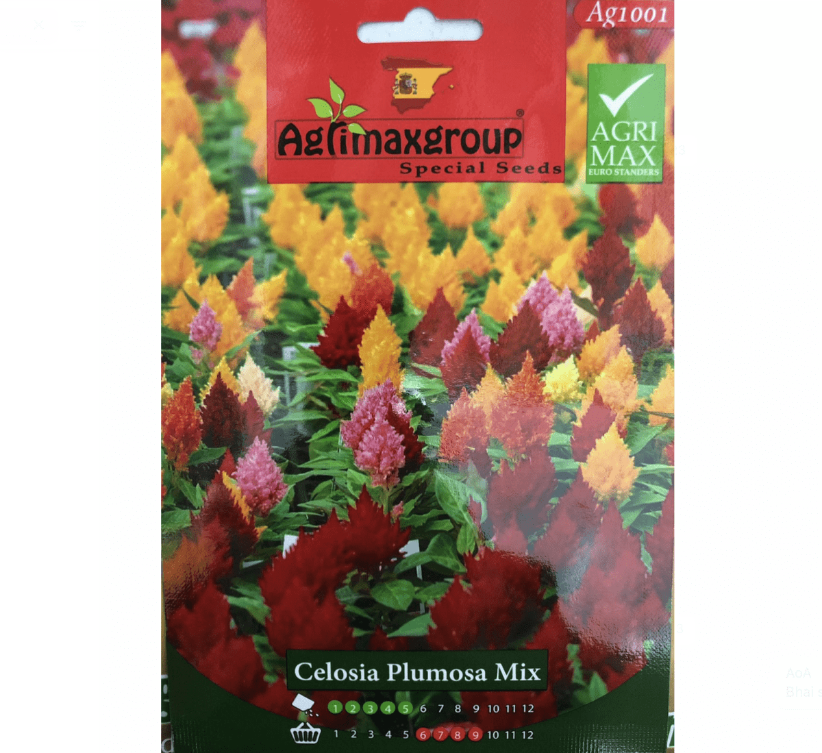 Celosia Plumosa mix Seeds by Agrimax Spain - Greensouq -