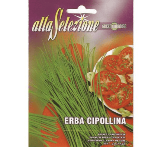 Premium Chives Seeds "Erba Cipollina" Premium Quality Seeds by Alta Selezione - Greensouq -