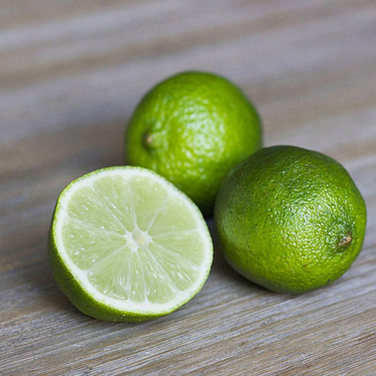 Citrus Latifolia Lima 1.5 - 2.0m - Greensouq - 