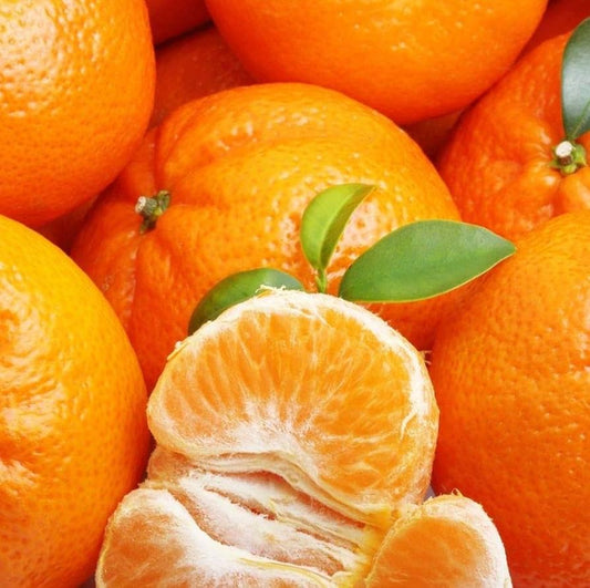 Citrus reticulata Mandarino 1.5 - 2.0m - Greensouq - 