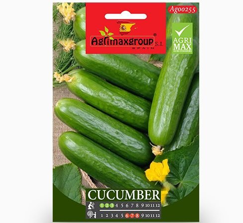 Agrimax Cucumber Seeds - Greensouq -