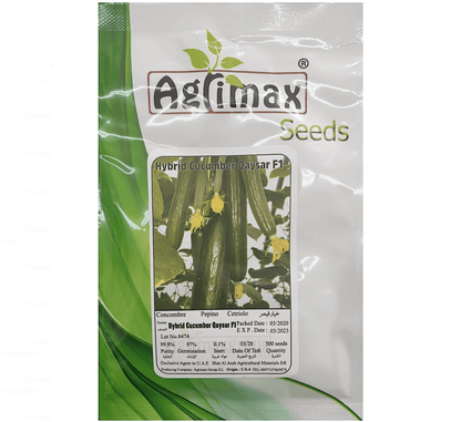 Cucumber Vegetable Seeds "Qaiser F1 Hybrid" By Agrimax - Greensouq -