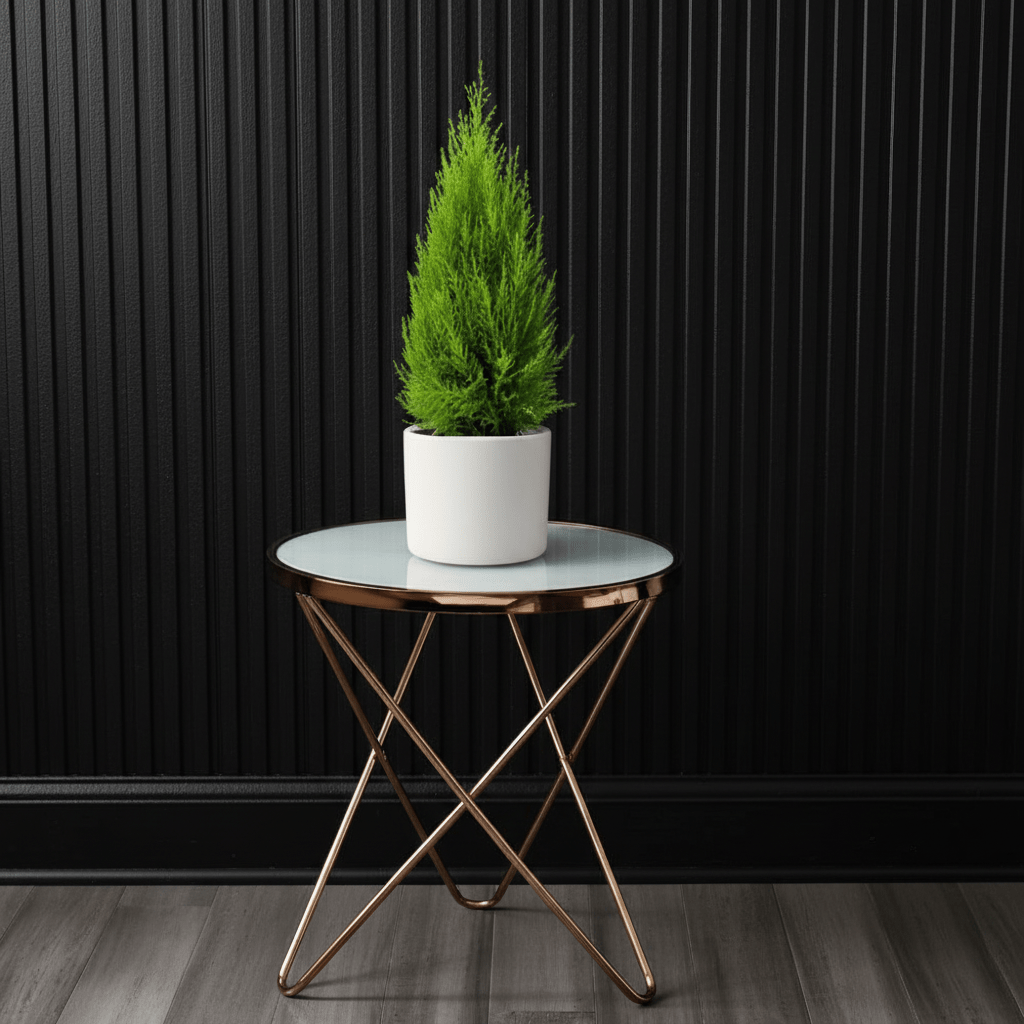 Cupressus Macrocarpa, Goldcrest Wilma, Lemon Cyperus - Greensouq - 