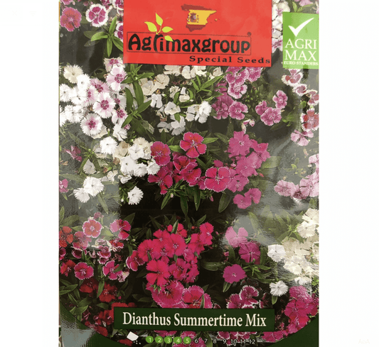Dianthus Summertime Mix Flower Seeds by Agrimax Spain - Greensouq - 