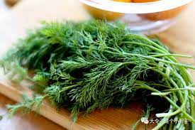 Agrimax Dill Seeds - Greensouq -