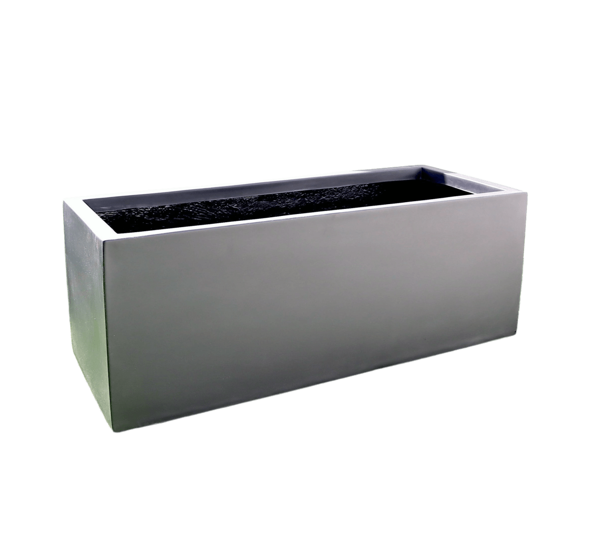 Dracaena Draco Duo, Drago or Dragon Tree in Fiber Glass pot (70x30x30) - Greensouq - 