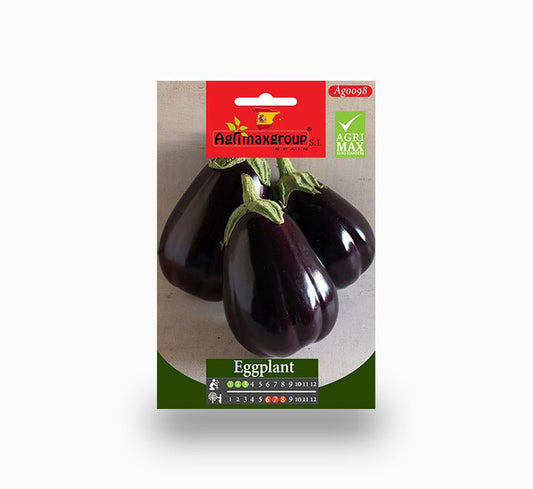 Eggplant Seeds | Eggplant Agrimax Seeds - Greensouq -