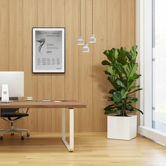 Ficus Lyrata or Fiddle Leaf Fig in Grp Square Pot 40x40 - Greensouq - 