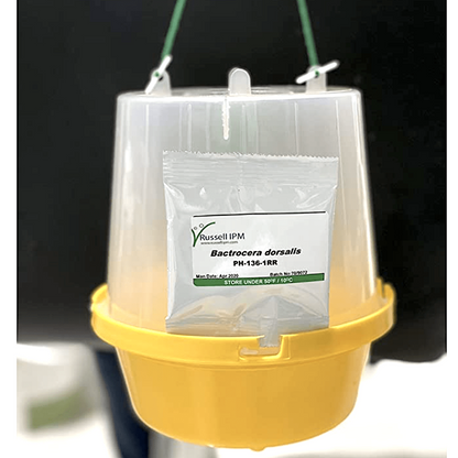 Fruit Fly Trap with Pheromone "Russell - IPM" - Greensouq - 