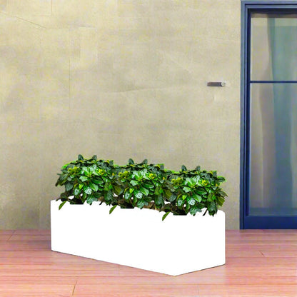 3x Gardenia Set in Rectangular Fiber Glass Planter (GRP) (90x30x30cm) - Greensouq -