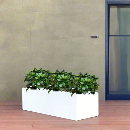 3x Gardenia Set in Rectangular Fiber Glass Planter (GRP) (90x30x30cm) - Greensouq -