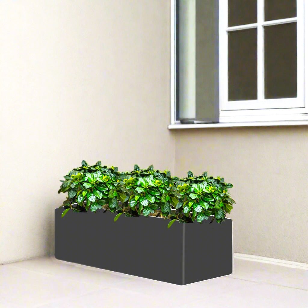 3x Gardenia Set in Rectangular Fiber Glass Planter (GRP) (90x30x30cm) - Greensouq -