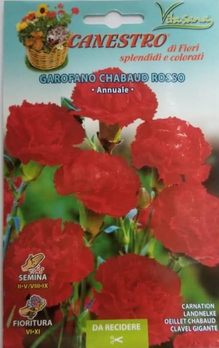 Garofano Chabaud Rosso Seeds by CANESTRO - Greensouq -