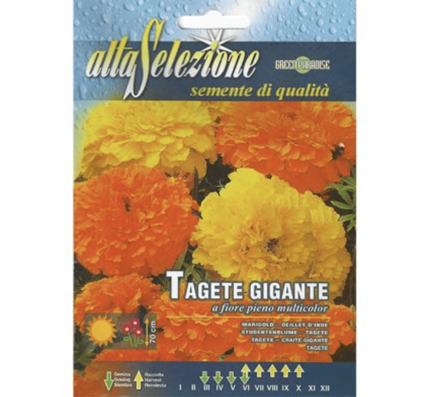 Giant Marigold Seeds "Tagete Gigante a Fiore Pieno Multicolor" by Alta Selezione - Greensouq -